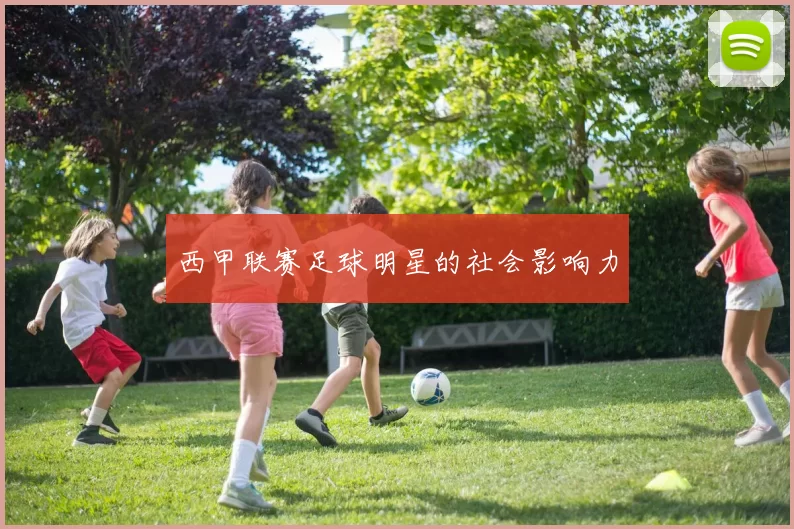 西甲联赛足球明星的社会影响力