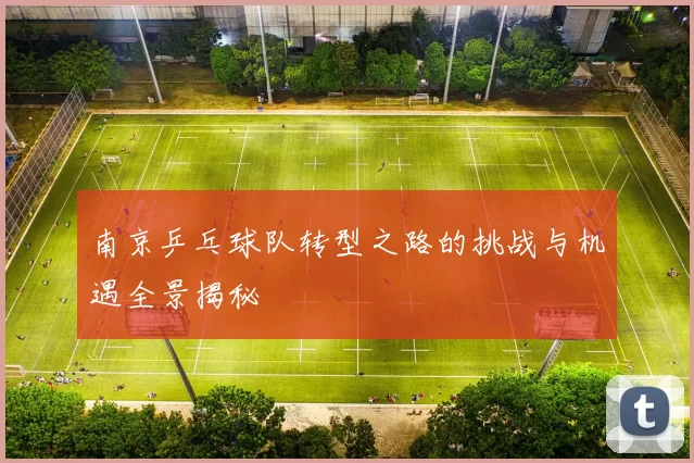 南京乒乓球队转型之路的挑战与机遇全景揭秘