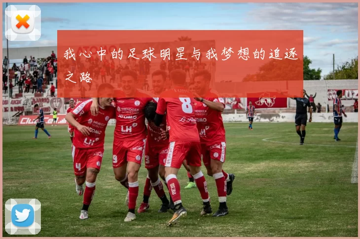 我心中的足球明星与我梦想的追逐之路