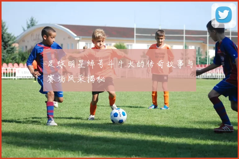 足球明星绰号斗牛犬的传奇故事与赛场风采揭秘