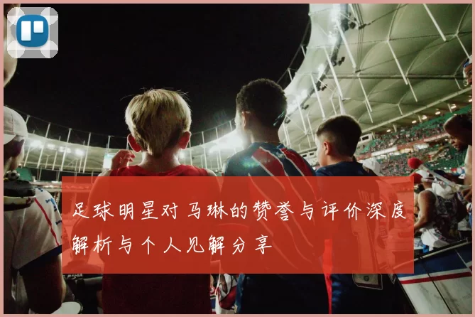 足球明星对马琳的赞誉与评价深度解析与个人见解分享
