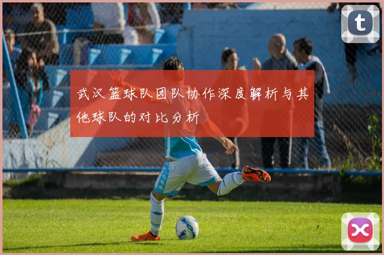 武汉篮球队团队协作深度解析与其他球队的对比分析