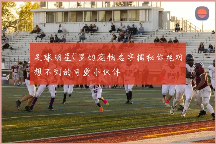 足球明星C罗的宠物名字揭秘你绝对想不到的可爱小伙伴
