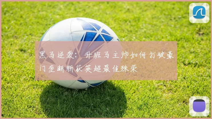 黑马逆袭：升班马主帅如何打破豪门垄断斩获英超最佳殊荣