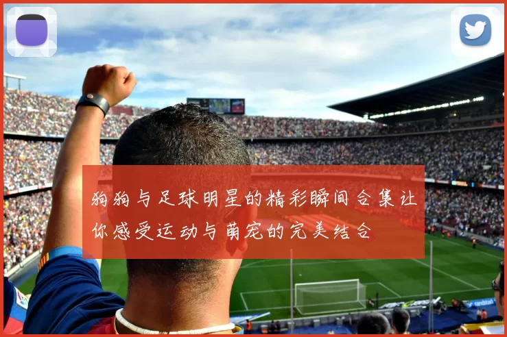 狗狗与足球明星的精彩瞬间合集让你感受运动与萌宠的完美结合