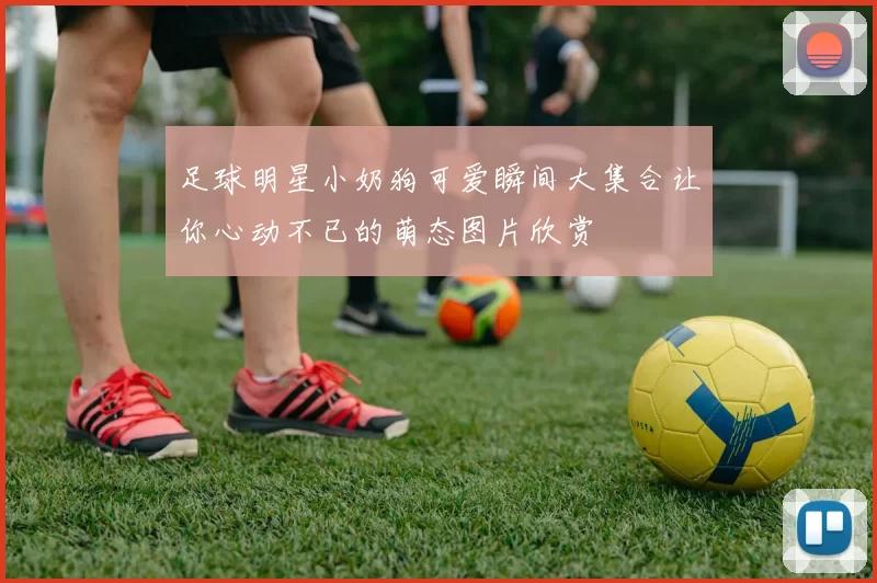 足球明星小奶狗可爱瞬间大集合让你心动不已的萌态图片欣赏