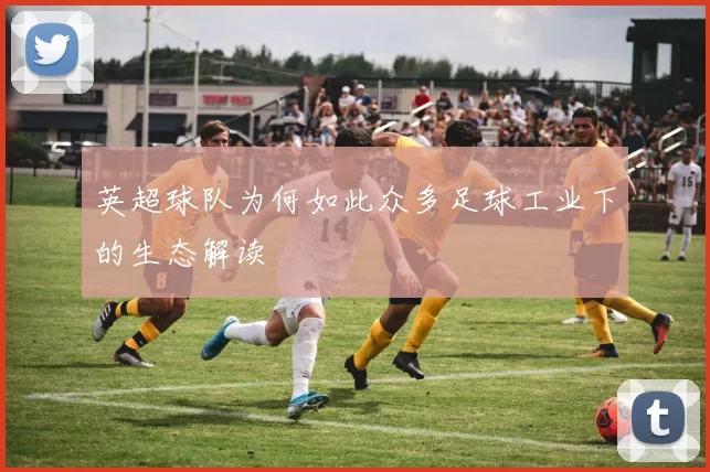 英超球队为何如此众多足球工业下的生态解读