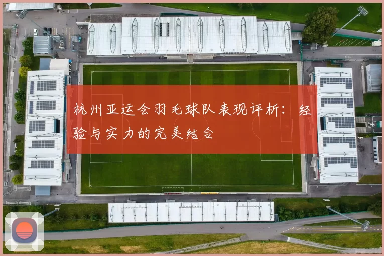 杭州亚运会羽毛球队表现评析：经验与实力的完美结合