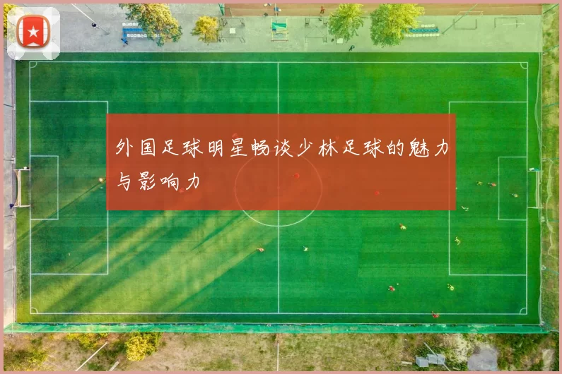外国足球明星畅谈少林足球的魅力与影响力