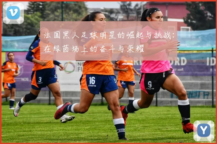 法国黑人足球明星的崛起与挑战：在绿茵场上的奋斗与荣耀