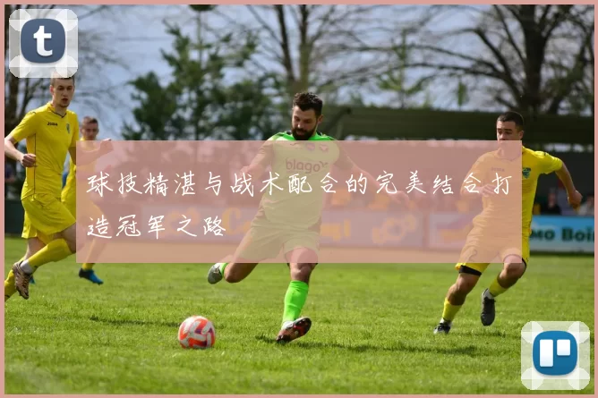 球技精湛与战术配合的完美结合打造冠军之路