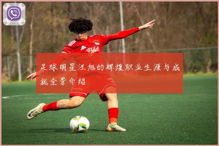 足球明星汪旭的辉煌职业生涯与成就全景介绍