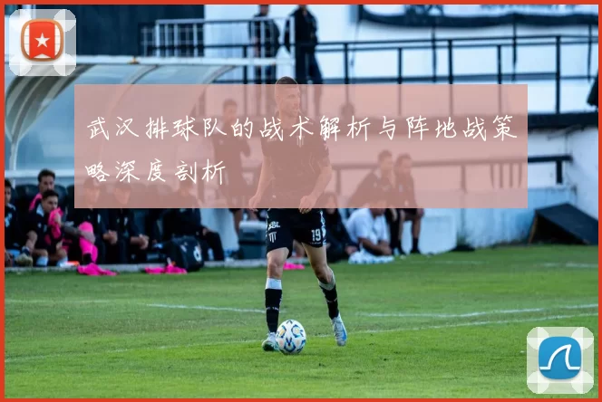 武汉排球队的战术解析与阵地战策略深度剖析