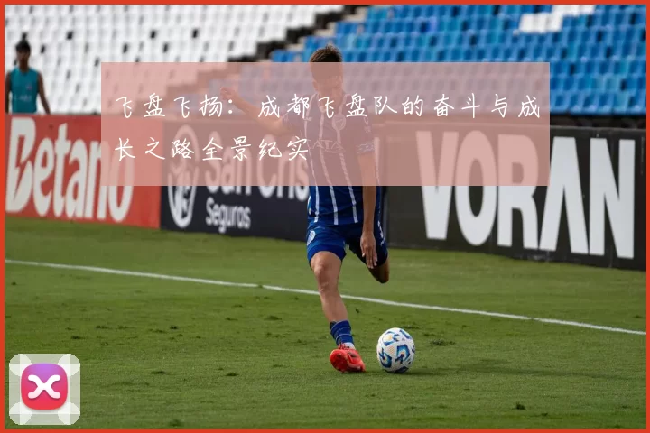 飞盘飞扬：成都飞盘队的奋斗与成长之路全景纪实