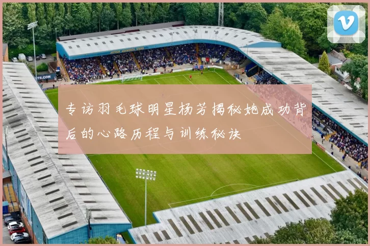 专访羽毛球明星杨芳揭秘她成功背后的心路历程与训练秘诀