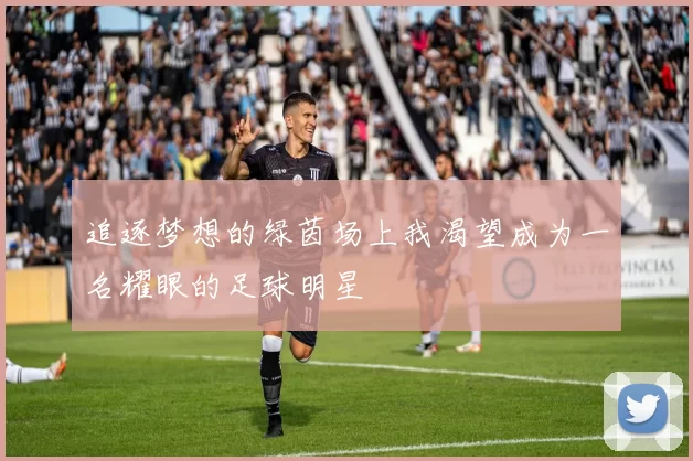 追逐梦想的绿茵场上我渴望成为一名耀眼的足球明星