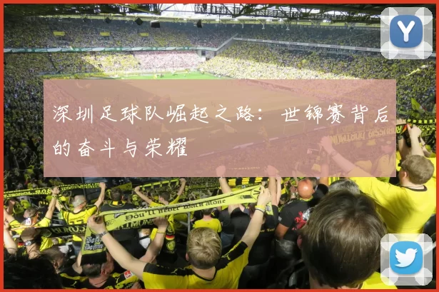深圳足球队崛起之路：世锦赛背后的奋斗与荣耀