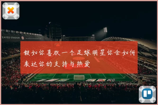 假如你喜欢一个足球明星你会如何表达你的支持与热爱