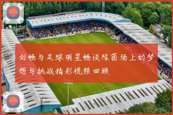 刘畅与足球明星畅谈绿茵场上的梦想与挑战精彩视频回顾