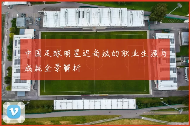 中国足球明星迟尚斌的职业生涯与成就全景解析